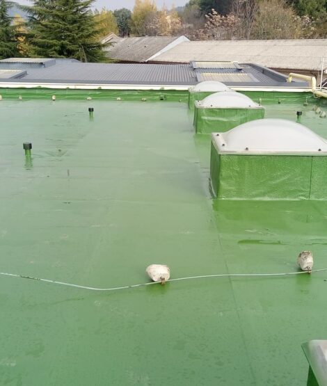 futuraeurope-impermeabbilizzazione-tetti-23