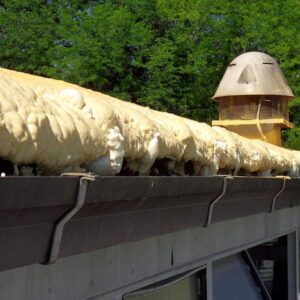 futuraeurope-incapsulamento-amianto-7