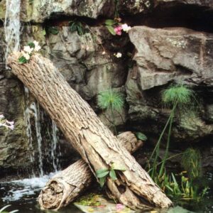 futuraeurope-rocce-ed-alberi-artificiali-4